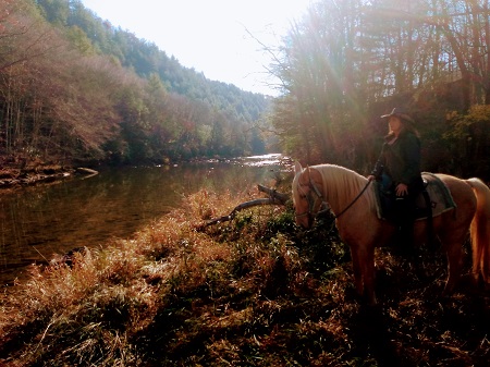 Man sitting on a horse along a river.