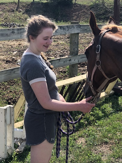 Horse Therapy for Anxiety Spring Mills PA