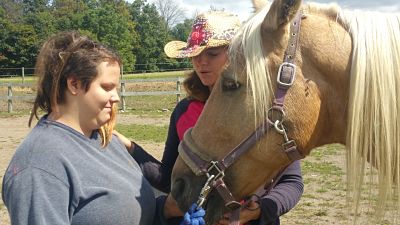 Horse Therapy Retreat in Spring Mills PA