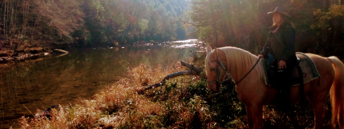 Cynthia on a horse by a river.
