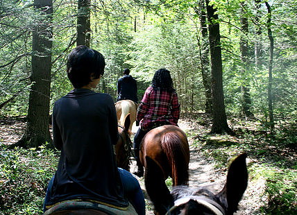 Trail ride through the woods.